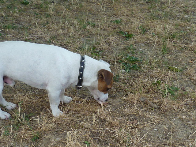 P1000540.JPG