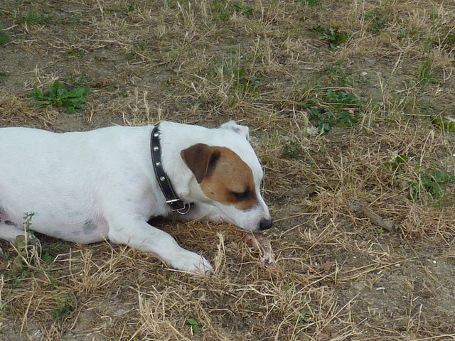 P1000542.JPG