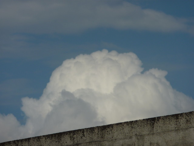 P1000554.JPG