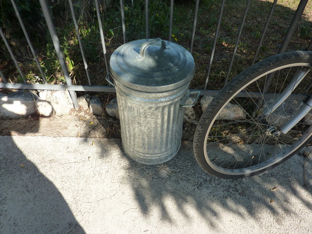 P1020006.JPG