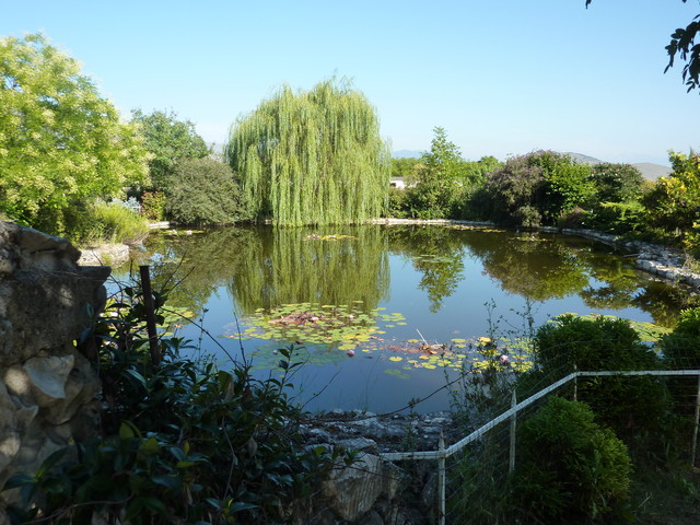 P1020007.JPG