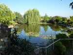 P1020007.JPG