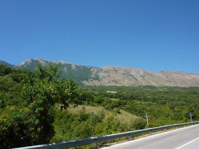 P1020014.JPG