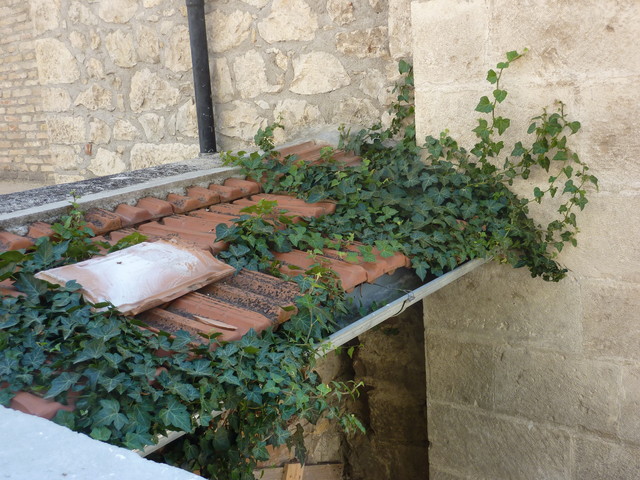 P1020040.JPG