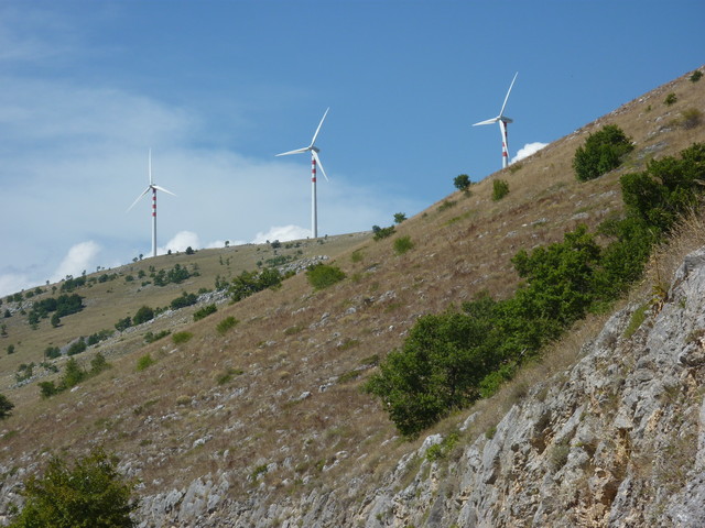 P1020044.JPG