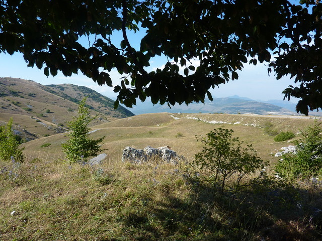 P1020050.JPG