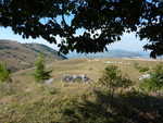 P1020050.JPG