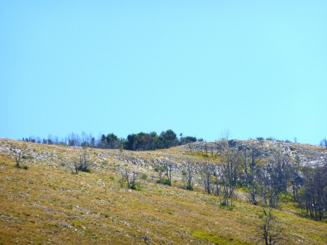 P1020097.JPG