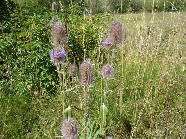 P1020102.JPG