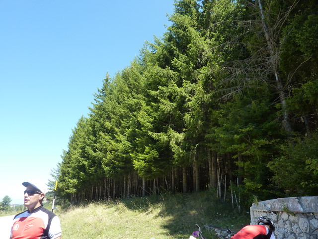 P1020103.JPG