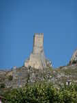 P1020115.JPG