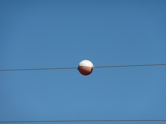 P1020116.JPG