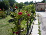P1020122.JPG