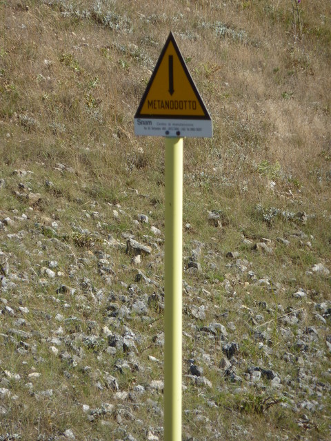 P1020133.JPG