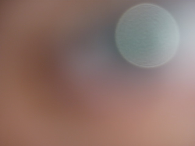 P1020151.JPG