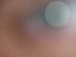 P1020151.JPG