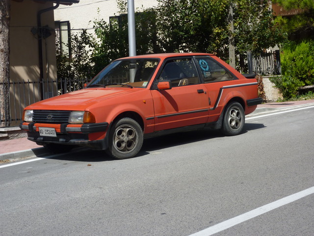 P1020174.JPG