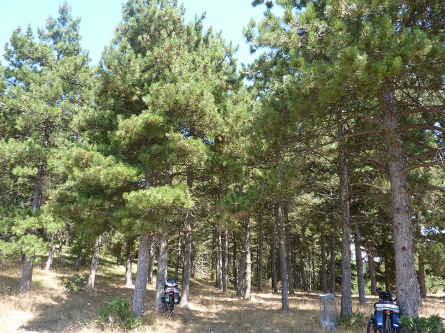P1020183.JPG