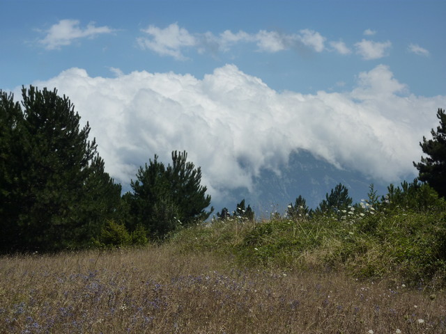 P1020184.JPG