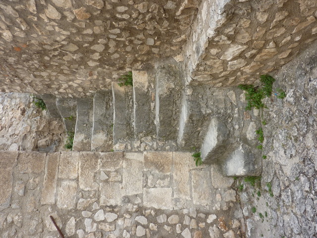 P1020217.JPG