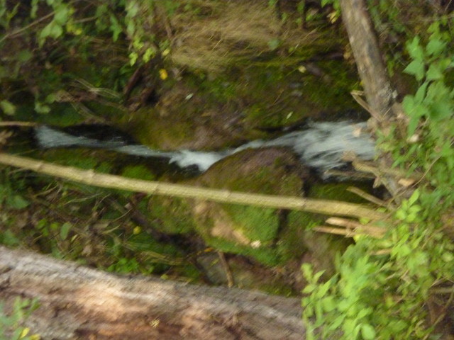 P1020235.JPG