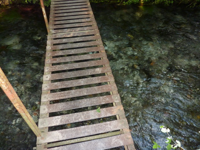 P1020236.JPG