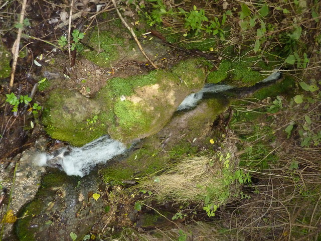 P1020237.JPG