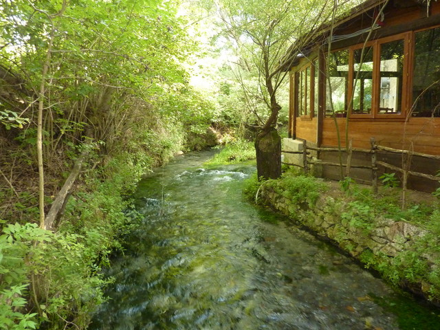 P1020238.JPG