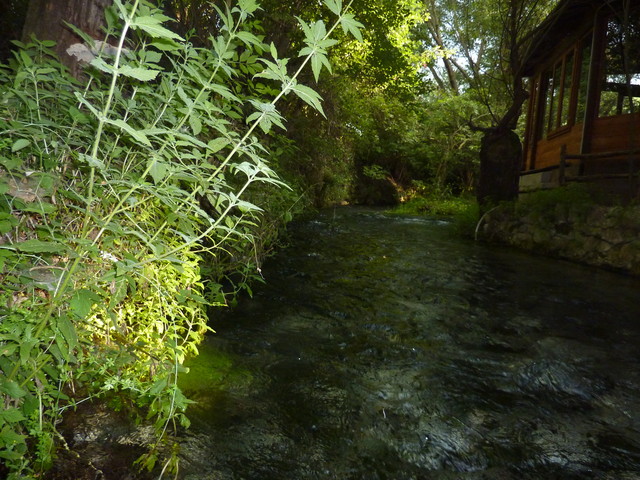 P1020239.JPG