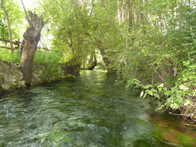 P1020240.JPG