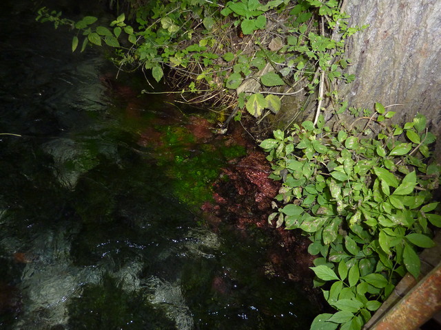 P1020241.JPG
