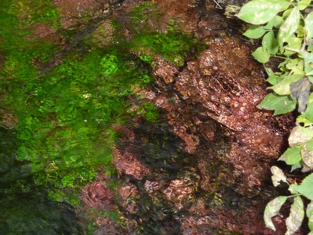P1020242.JPG