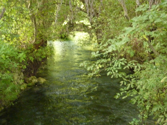 P1020243.JPG