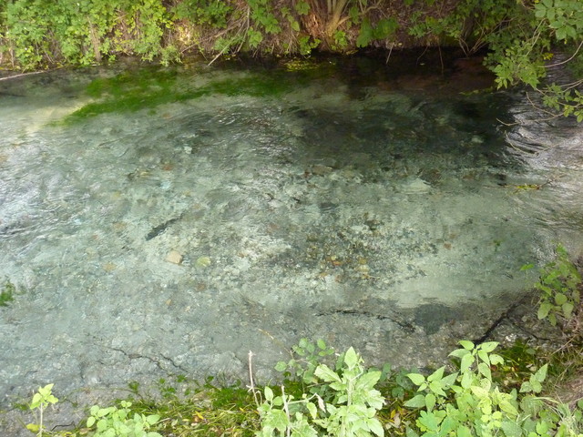 P1020249.JPG