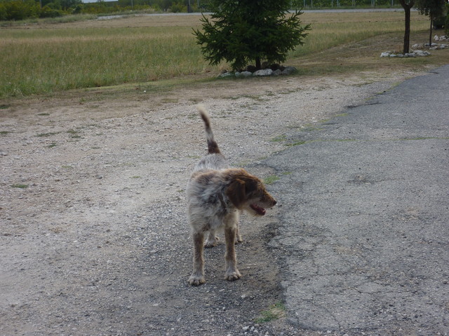 P1020251.JPG