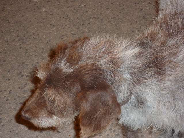 P1020257.JPG