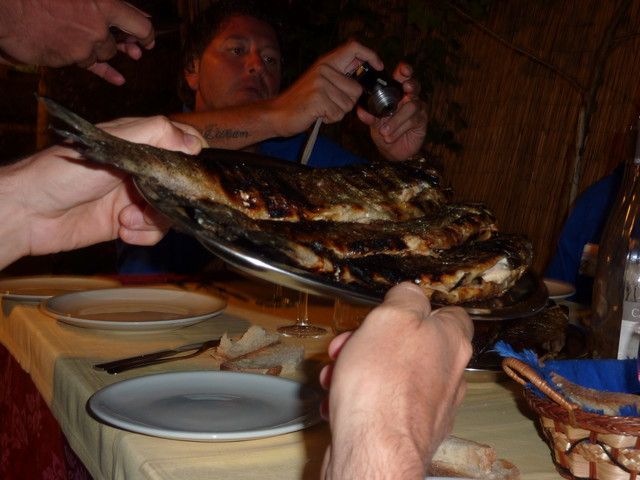 P1020260.JPG
