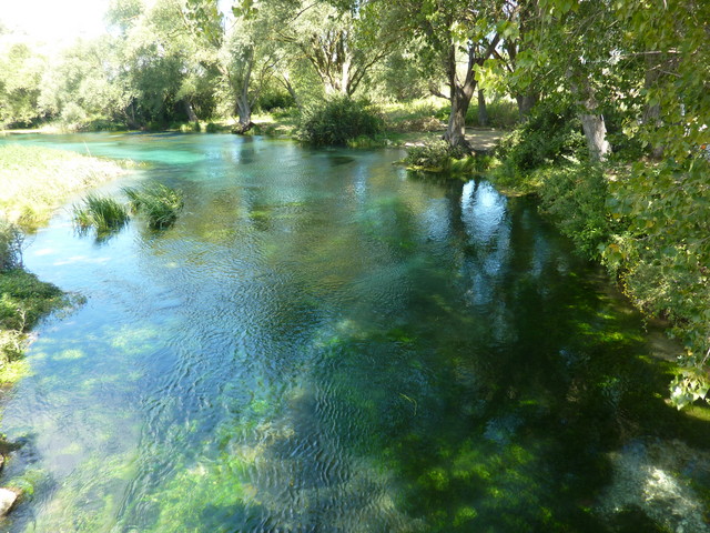 P1020285.JPG