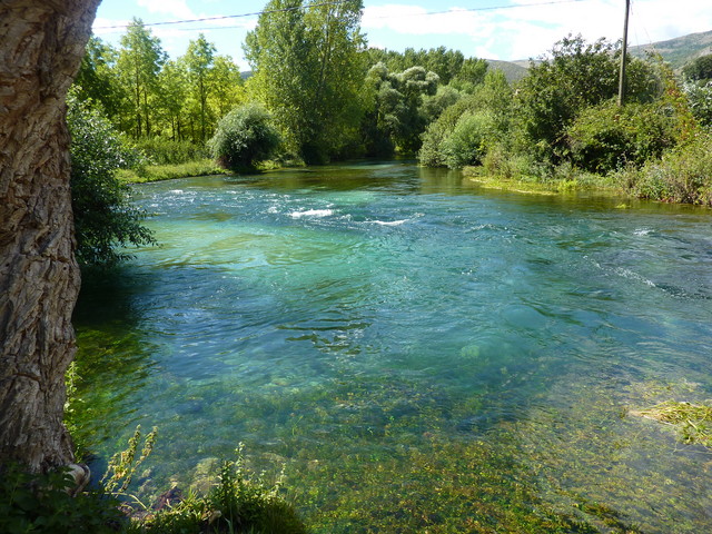 P1020287.JPG