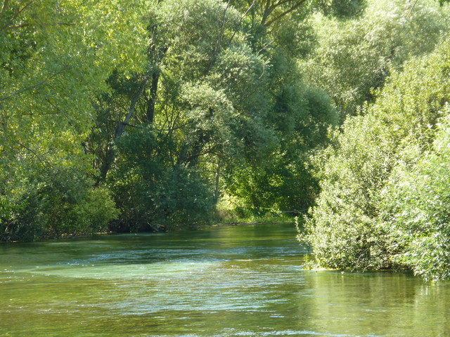 P1020288.JPG