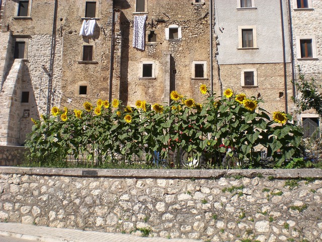 CIMG3818.JPG
