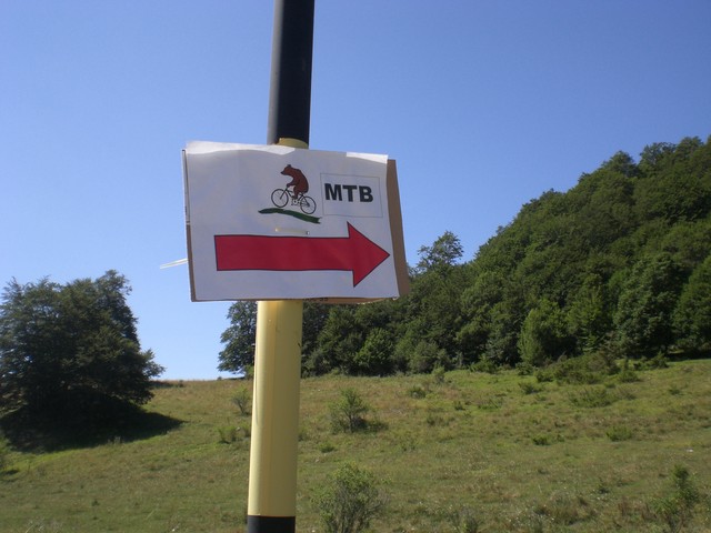 CIMG3822.JPG