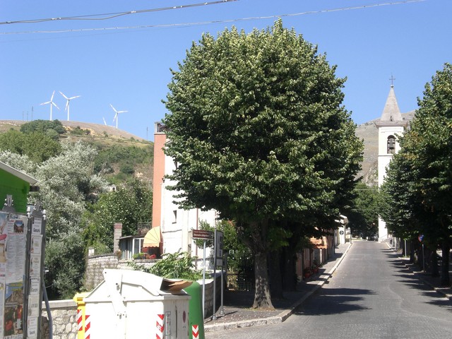 CIMG3846.JPG