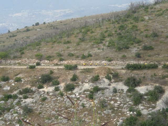 CIMG3908.JPG