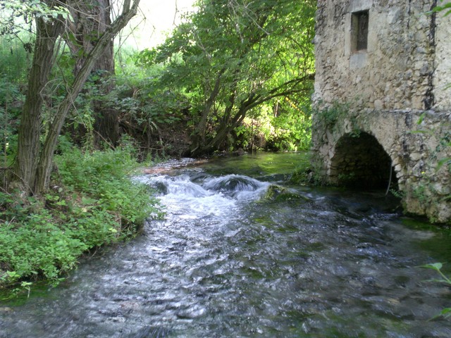 CIMG3937.JPG