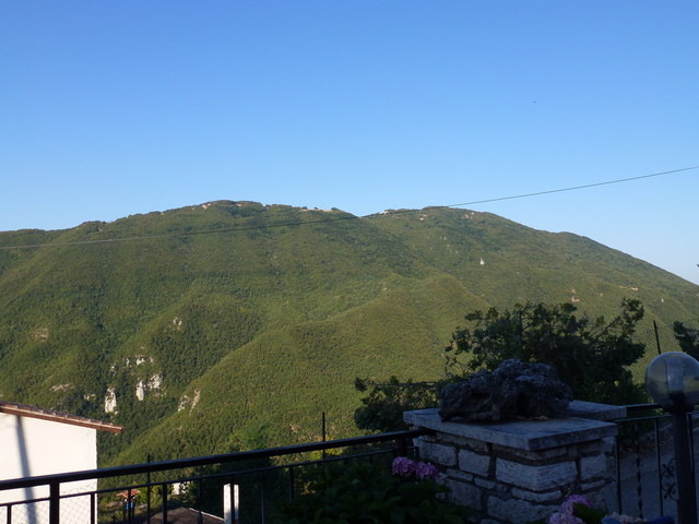 P1020407.JPG