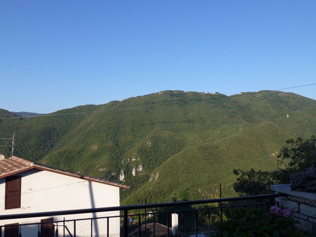 P1020408.JPG