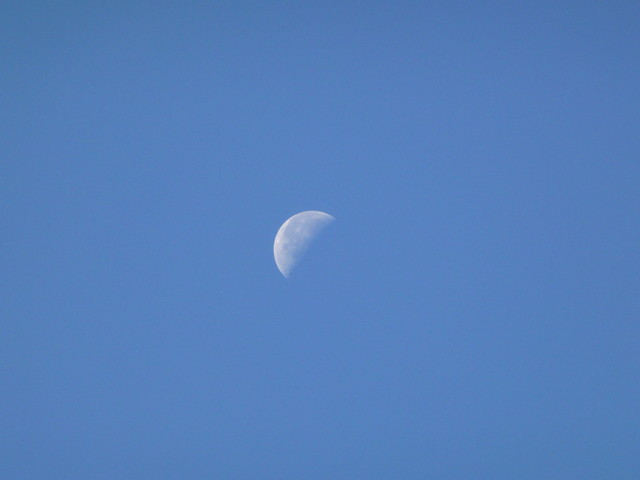 P1020416.JPG
