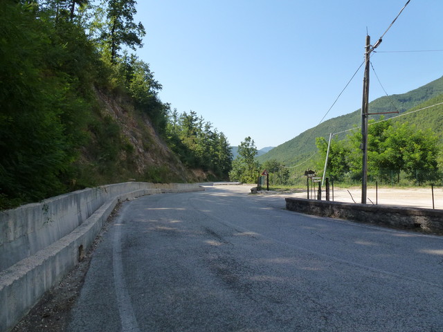P1020428.JPG