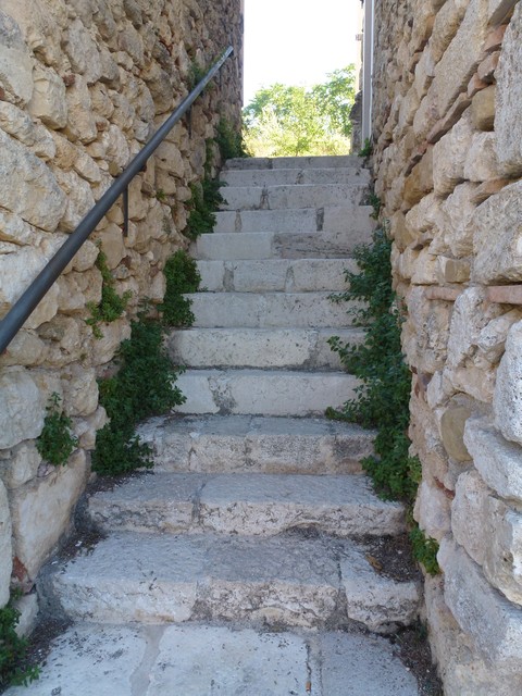 P1020467.JPG